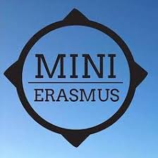 mini erasmus